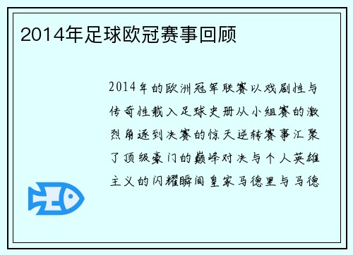 2014年足球欧冠赛事回顾
